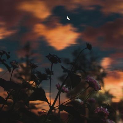 yabo官网网页版下载手机版截图